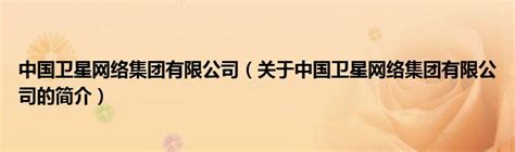 中国卫星网络集团有限公司（关于中国卫星网络集团有限公司的简介）_平安财经网