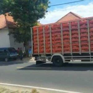 KERANJANG AYAM PLASTIK RABBIT TIPE 9606 | BOX AYAM POTONG