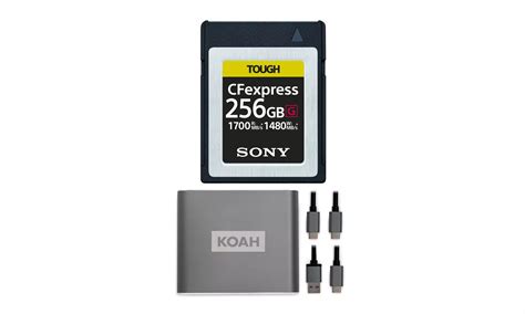 Sony 256GB TOUGH CEB-G Series... | Groupon Goods