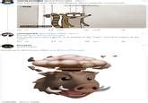 Image result for Exploding Boar Boarsplosion Text