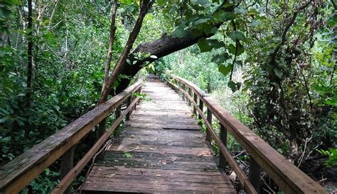 SNYDER PARK (2026) All You Need to Know BEFORE You Go (with Photos ...