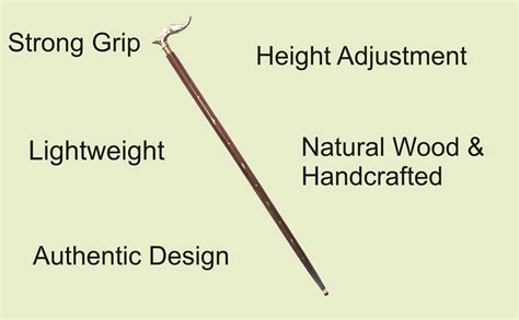 ASR SURGICAL Walking Stick For Men/Women/Old People Sheesham Wood ...