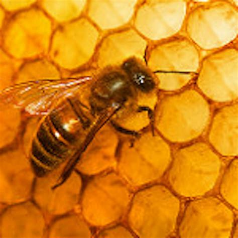 Beautiful Math Patterns 的图像结果