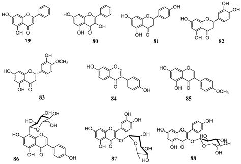 Phenols and Polyphenols as Carbonic Anhydrase Inhibitors