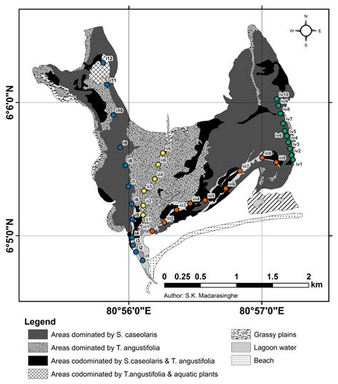Assessing the Influence of Anthropogenic Land-Use Changes on Bird ...