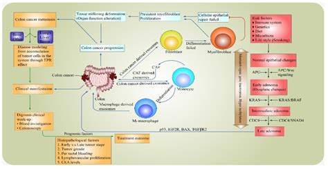 The Prediction of Survival Outcome and Prognosis Factor in Association ...