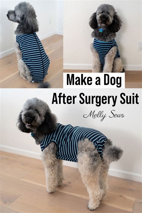Make a Dog Surgical Suit - Melly Sews