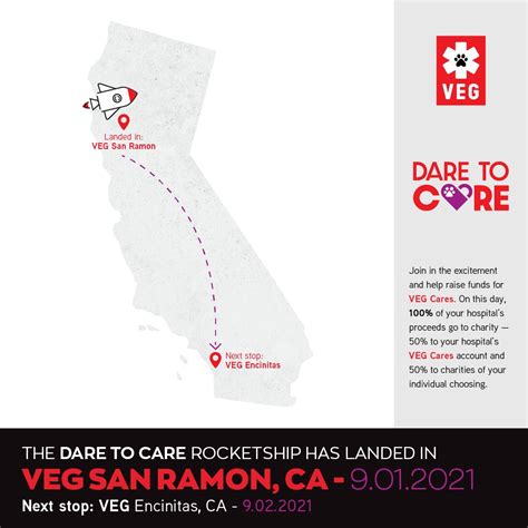 Veterinary Emergency Group on LinkedIn: #daretocare #vegloves #vegcares #veggives #veg # ...