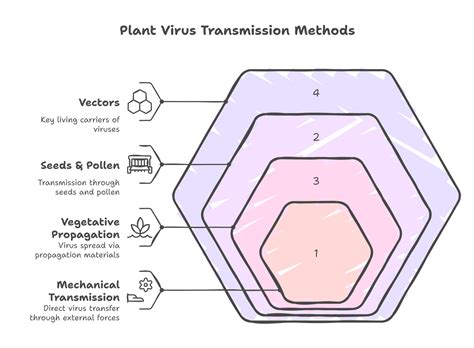 How Do Viruses Travel Between Hosts: Transmission Mechanisms Explained