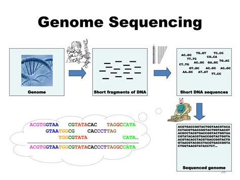 Next Generation Sequencing Introduction 的图像结果