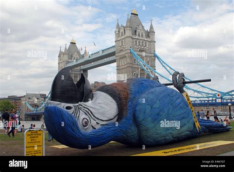 Image result for Monty Python Mostly Dead