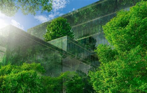 Eco-Friendly Buildings Conserve Natural Resources