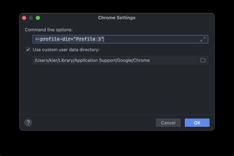 Debugging JavaScript Chrome 的图像结果