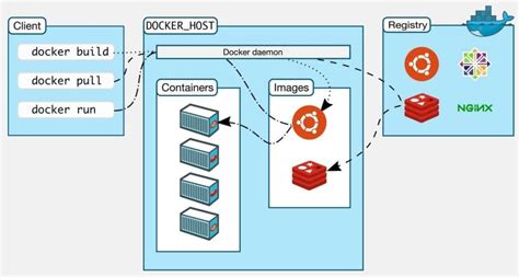 Image result for Docker Tutorial Codeamigos