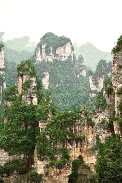 Avatar China 的图像结果