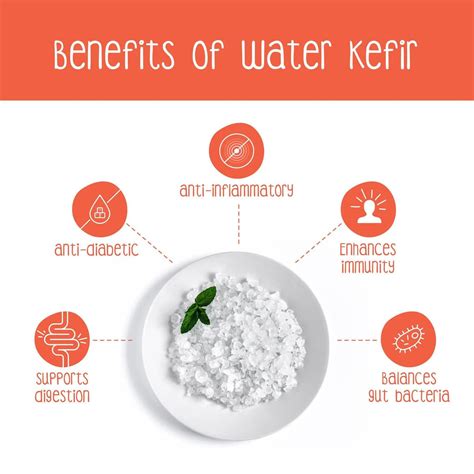 Home Premium Water Kefir Grains: Easy-to-Use Probiotic Culture for ...