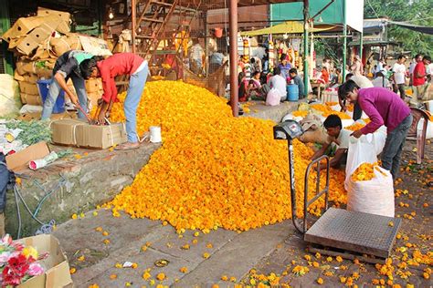 Buy Flowers At Wholesale Rates At Ghazipur Flower Mandi | LBB Delhi