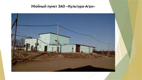 Ветеринарно-санитарная экспертиза с основами технологии и ...