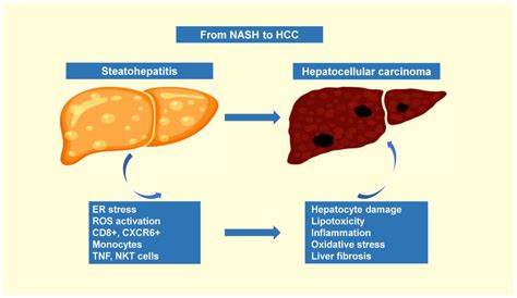 How Far beyond Diabetes Can the Benefits of Glucagon-like Peptide-1 ...