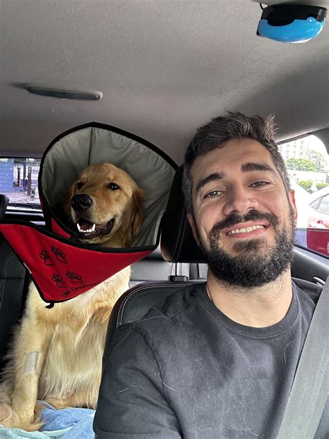 Recovery part 2 (broken femur) : r/goldenretrievers