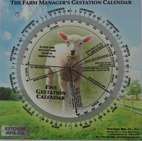 Animal Gestation calendar