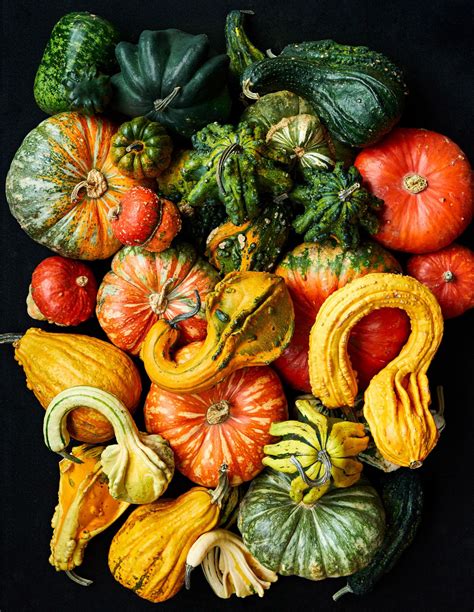 Are Gourds Edible or Only Decorative?