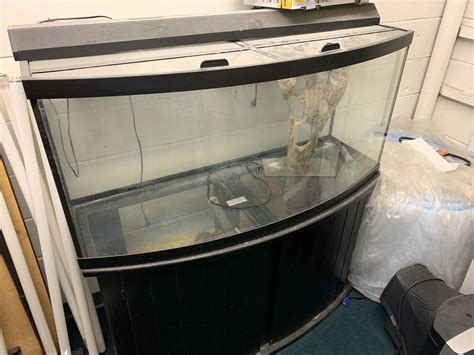 70 Gallon fish tank! for Sale in Lutz, FL - OfferUp