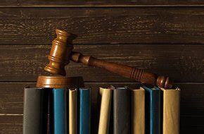 Best Private/Phd University in Rajasthan NCR, UGC Approved