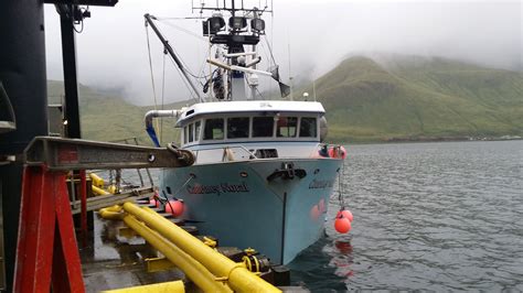 Commercial Fishing Jobs Alaska at Elias Hull blog
