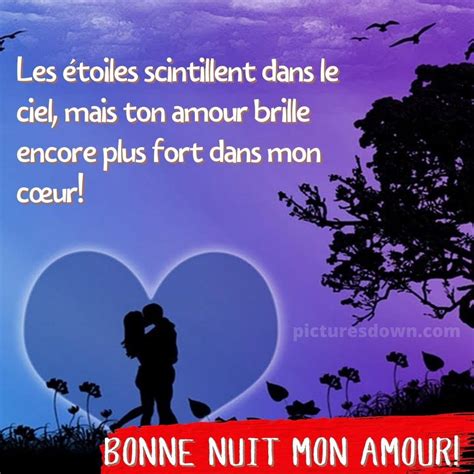 Bonne nuit mon amour image cœur