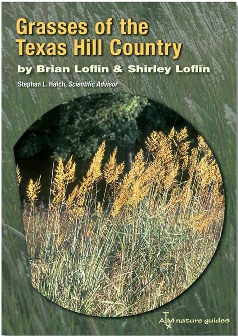 Grasses Of The Texas Hill Country A Field Guide Volume | Desertcart INDIA