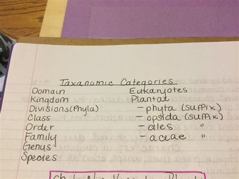 Image result for Classification System Flashcards