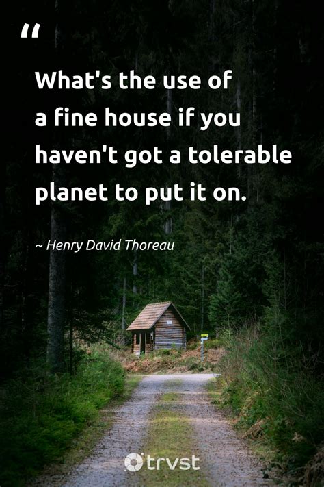 Quotes About Environment 的图像结果