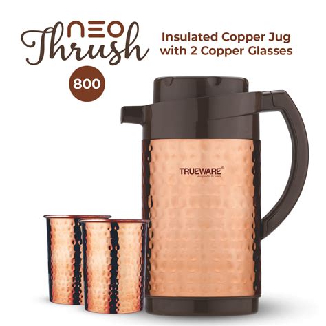 Insulated SS Flask – Trueware India