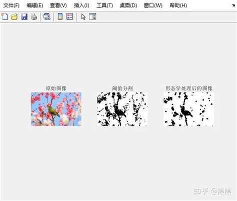 How to Swap Colours of a Picture Using MATLAB 的图像结果