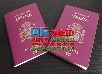 西班牙语阿根廷护照翻译模板【杭州中译翻译公司】