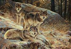 Wallpaper Wolf Pack Images by Wolf Pack Wallpapers Wallpaper Cave Wallpaper Wolf Pack Images