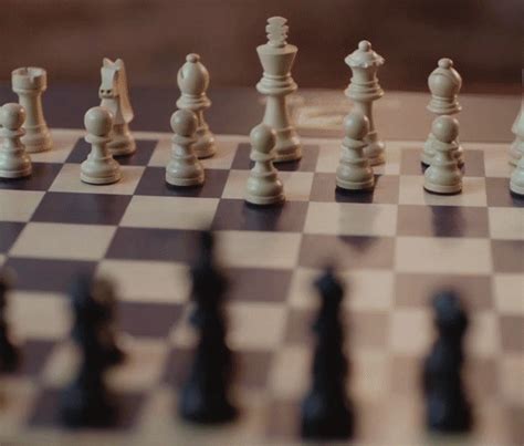 Miko Chess Grand – The Ultimate AI-Powered, Self-Moving Chessboard ...