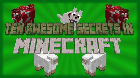 Image result for Cool Secret Items in Minecraft Java