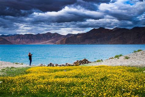 Ladakh Photography Tour Sep 2025