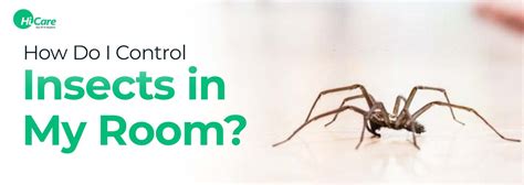 Top 7 Tips to Control Insects in Your Room | HiCare