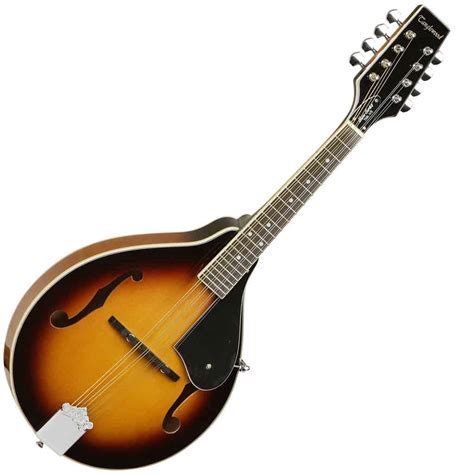What Does a Mandolin Look Like? Discover the Unique Beauty of a ...