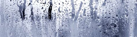 How to Know Humidity 的图像结果