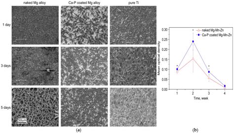 Polymeric Coatings for Magnesium Alloys for Biodegradable Implant ...