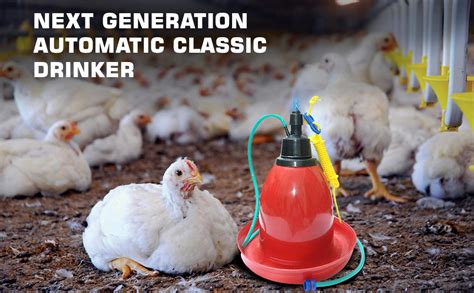 Praish Automatic Classic Drinker : Amazon.in: Garden & Outdoors