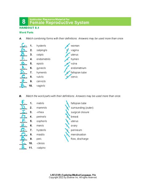Chapter 008 - LAFLEUR: Exploring Medical Language, 11e 8 Instructor ...