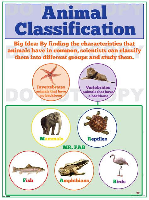 Livestock Classification Chart at William Trusty blog