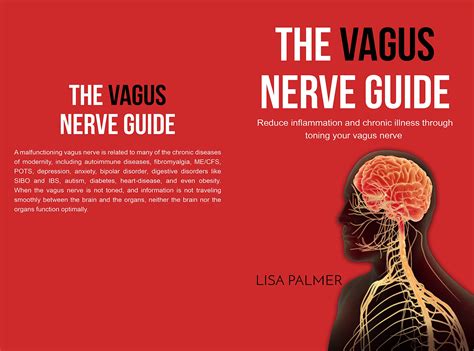 Buy The Vagus Nerve Guide: Reduce Inflammation and Chronic Illness ...