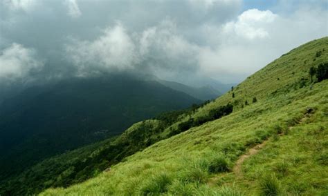 Mustafa Plumber, Live Law Page 156