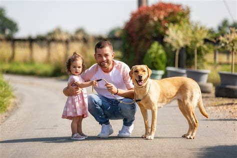 THE MOST FAMILY FRIENDLY DOG BREEDS – NETMUMS – Dog-ease